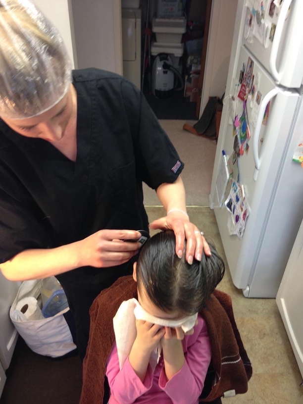 Head Lice Treatment Removal Service in Melbourne and Palm Bay, Florida LiceDoctors